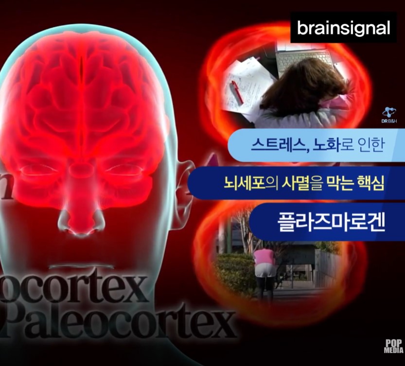 [기업홍보영상/ 수출바우처] 기업제품영상 ★브레인시그널